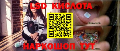 Альфа ПВП Гатчина