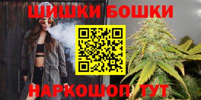 Альфа ПВП Гатчина