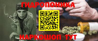 Альфа ПВП Гатчина