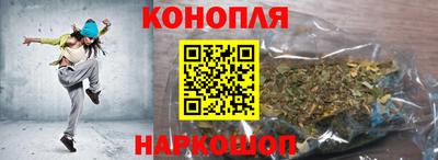 Альфа ПВП Гатчина