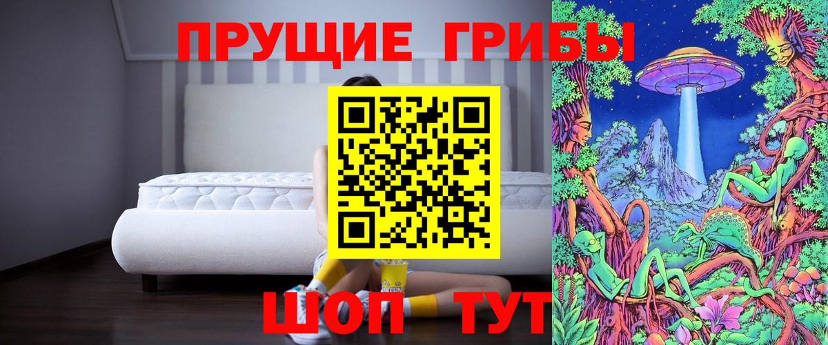 Галлюциногенные грибы GOLDEN TEACHER  Вход с VPN  Псилоцибиновые грибы GOLDEN TEACHER  Можга 