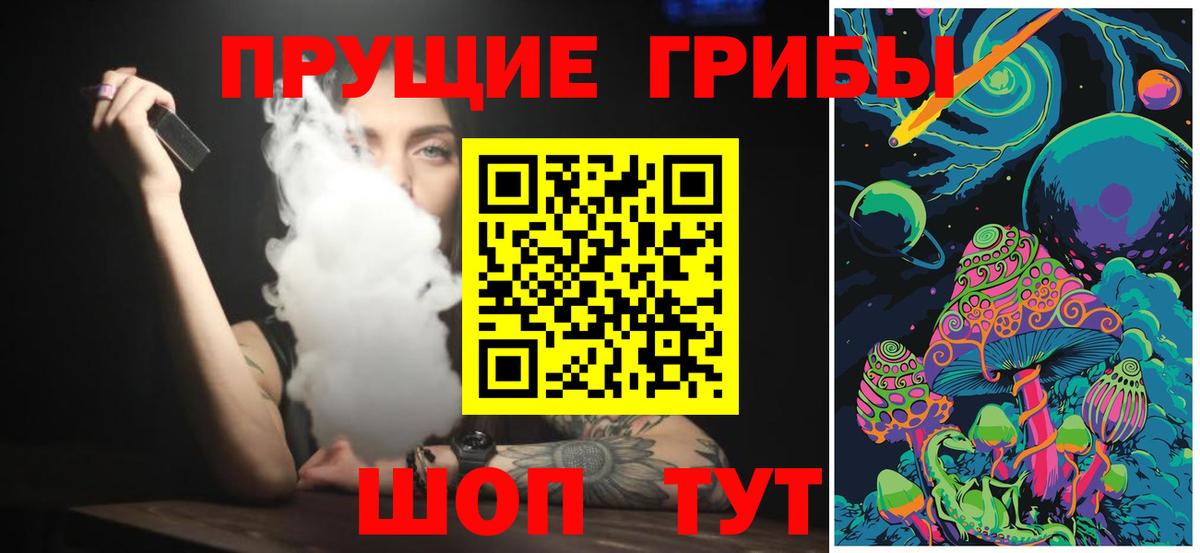 Галлюциногенные грибы Psilocybe Можга