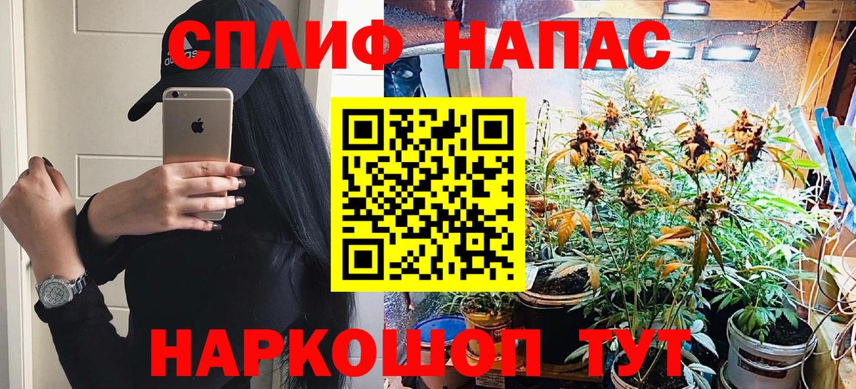 Каннабис SATIVA & INDICA Можга